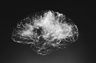 What Are The Best Brain Training Programs?